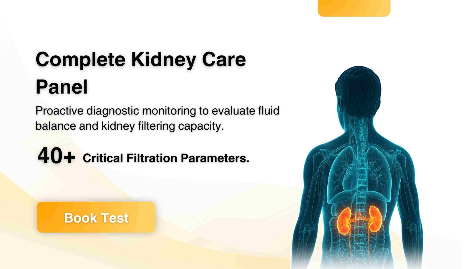 Complete Kidney Care Panel